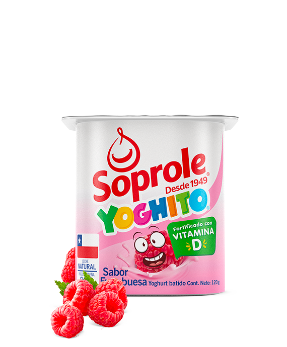 Yoghurt Yoghito Frambuesa 120 gr