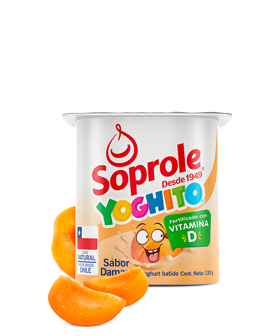 Yoghurt Yoghito Damasco 120 gr