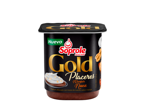 Yoghurt Gold Placeres Manjar Nuez