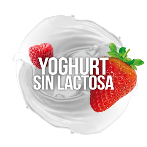 Yoghurt sin lactosa