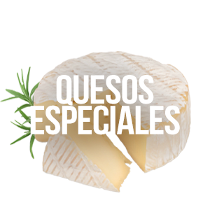 Quesos Especiales